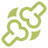 bone icon